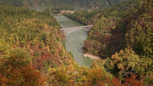 High angle view of bridge over river during autumn