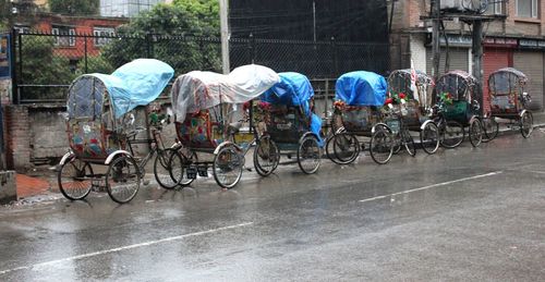 People on bicycle in city