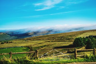 Scenic view of agricultural field against sky