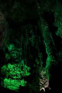 Close-up of rock formation in water at night