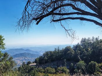 Scenic view of landscape against clear sky