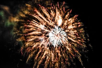 Low angle view of fireworks against sky at night