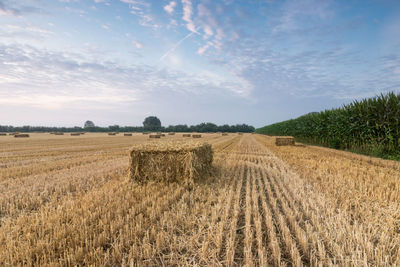 Hay bales on field against sky