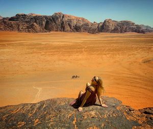 View of a horse on desert