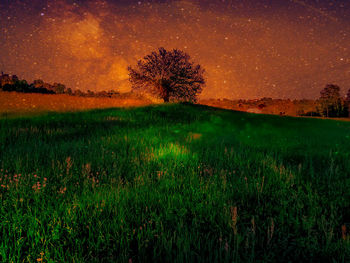 Scenic view of field against sky at night