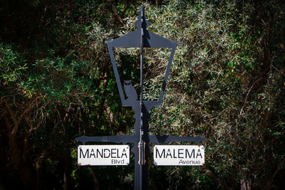 Information sign by trees in forest