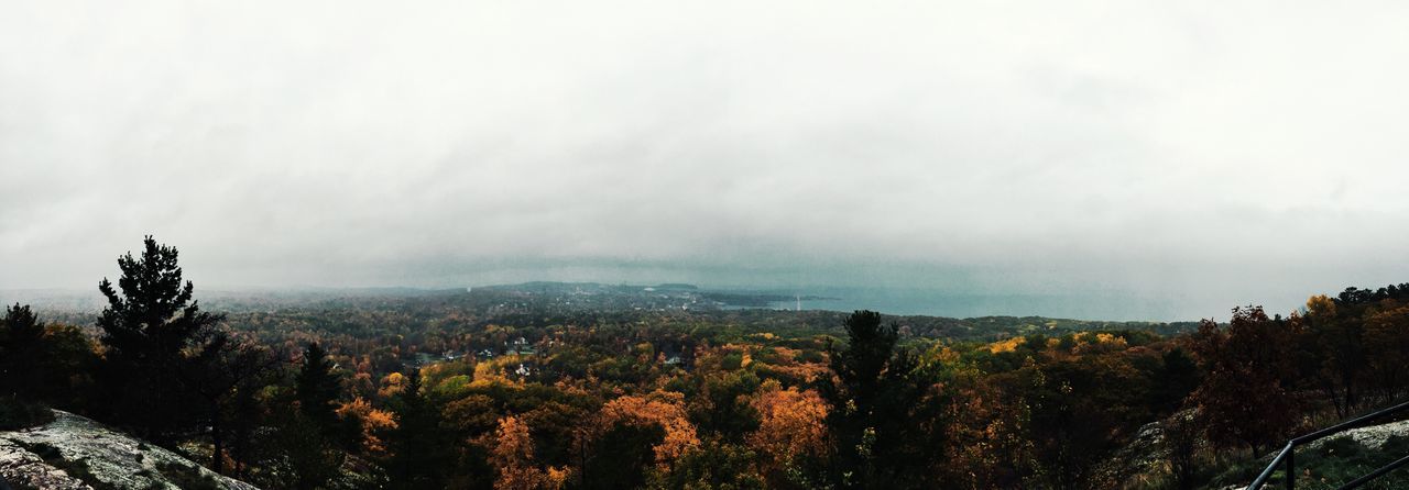 tree, landscape, panoramic, tranquil scene, scenics, mountain, tranquility, beauty in nature, nature, sky, non-urban scene, solitude, cloud - sky, growth, countryside, mountain range, day, cloudy, valley, remote, no people, majestic