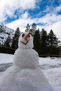 Frozen trees against sky during winter