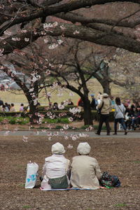 Rear view of people sitting at park