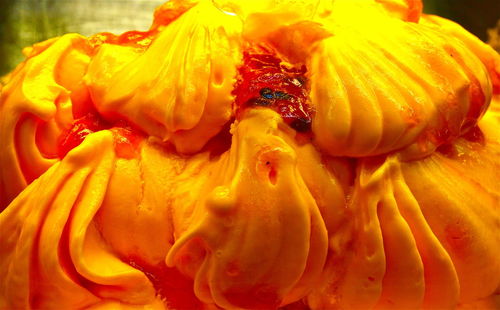 Close-up of yellow flowers