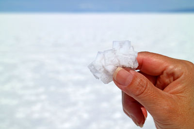 Close-up of hand holding salt against sky