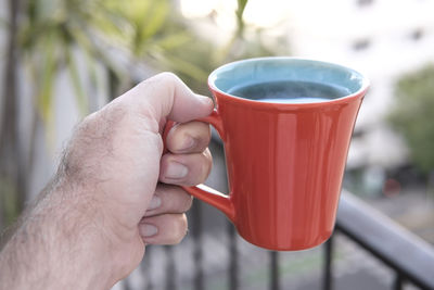 Close-up of hand holding tea cup