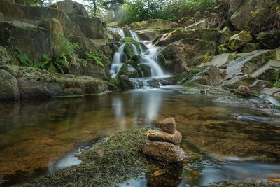 Scenic view of waterfall in forest