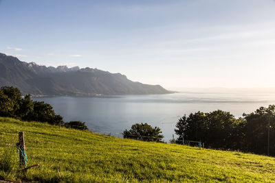 Scenic view of grassy field by lake against sky