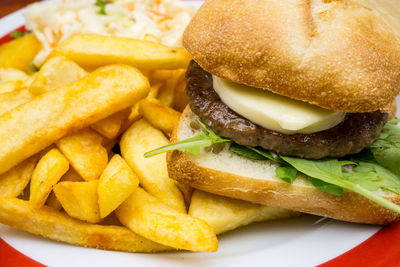 Burger and french fries in plate