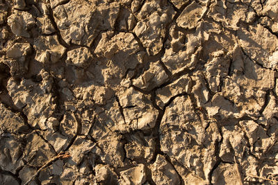 Full frame shot of cracked land