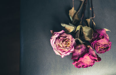 Close-up of wilted rose