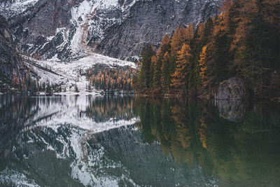 Scenic view of lake in forest during autumn