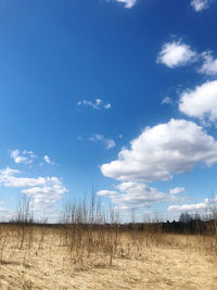 Scenic view of field against blue sky
