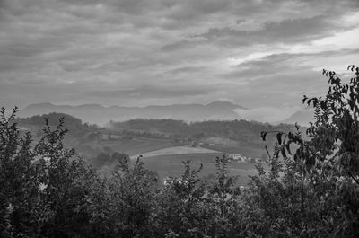 Scenic view of landscape against sky