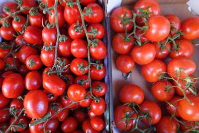 Full frame shot of tomatoes for sale