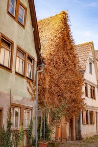 Low angle view of old building