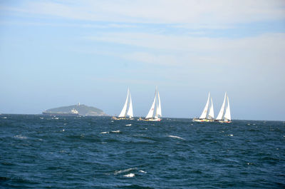 Sailboats sailing in sea against sky