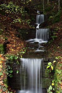 Waterfall in forest