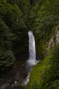 Waterfall in forest