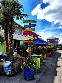 Potted plants in front of building