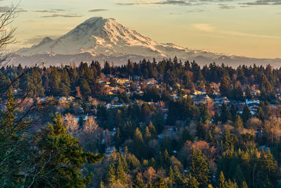 A view of clouds over mount rainier with trees in the foreground.