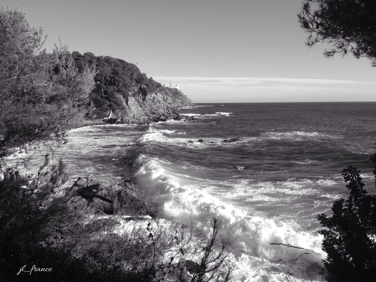 sea, water, horizon over water, scenics, tranquil scene, beauty in nature, tranquility, beach, shore, wave, nature, sky, surf, tree, idyllic, coastline, clear sky, outdoors, no people, non-urban scene