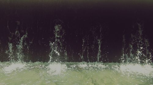 Reflection of trees in water