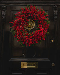 Close-up of red roses hanging on door