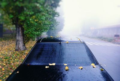 Road amidst trees and city against sky