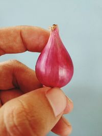 Close-up of hand holding apple against white background