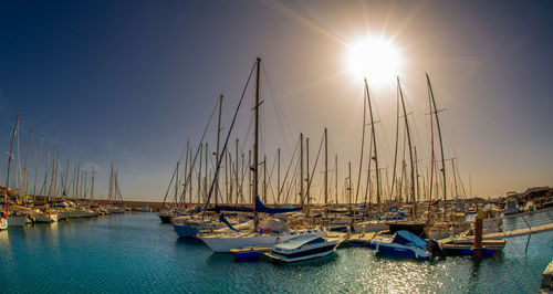 Landscape full of expensive yachts in amarilla harbour in tenerife at sunset spain 
