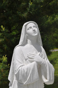 Close-up of statue in park