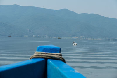 View of bird on lake against mountain range