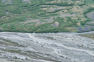Scenic view of river amidst trees