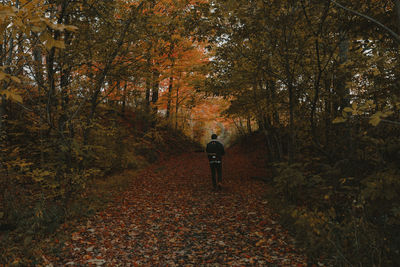 Rear view of man walking in the forest
