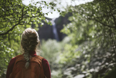 Rear view of woman standing amidst trees in forest