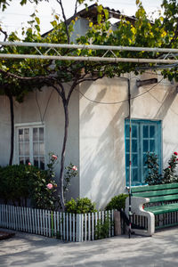 Low angle view of plants against building