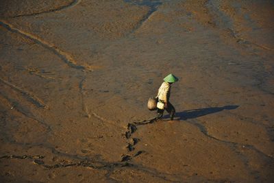 High angle view of man walking at beach