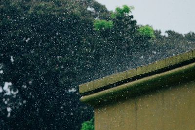 Close-up of wet window