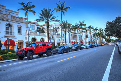 Cars on road by palm trees against sky in city