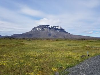 Scenic view of landscape against sky