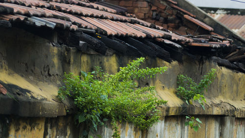 Close-up of house roof