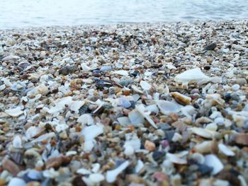 Close-up of pebbles on beach