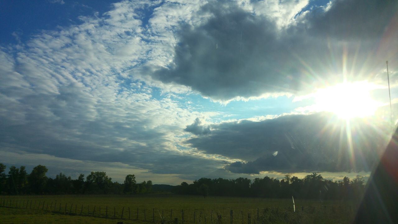 sun, sunbeam, sky, tranquility, landscape, tranquil scene, sunlight, field, lens flare, beauty in nature, scenics, nature, cloud - sky, grass, rural scene, tree, bright, idyllic, cloud, sunny